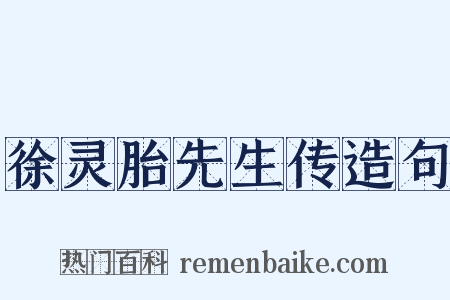 徐灵胎先生传造句是什么意思的图片